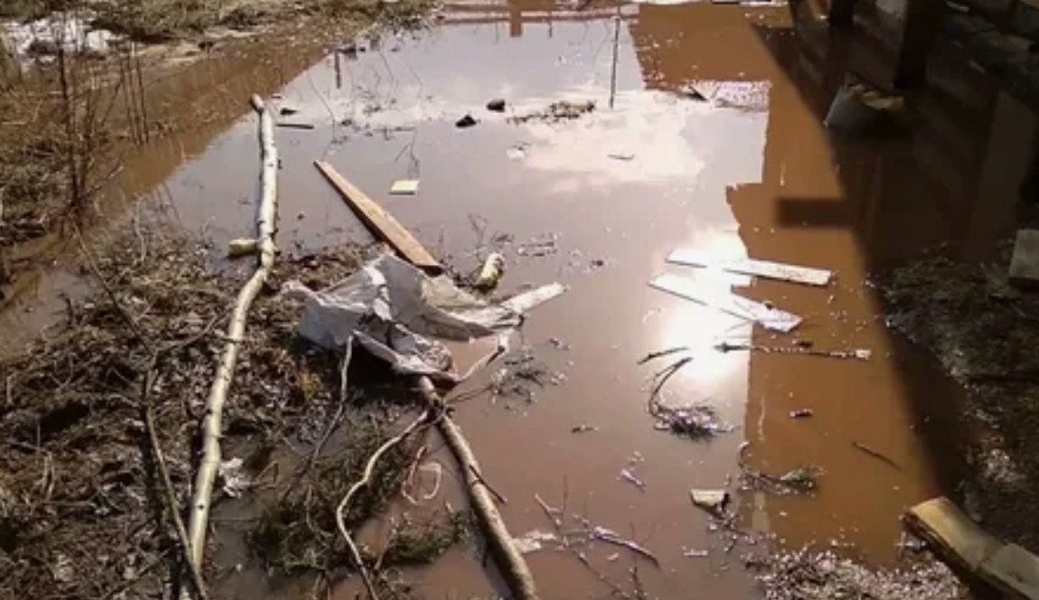 Вода в огороде