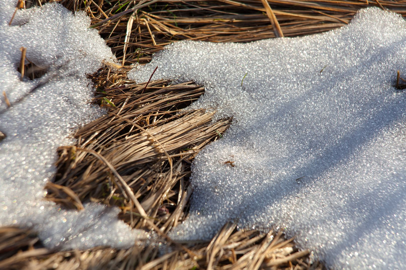 Снег тает под лучами солнца.