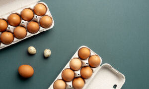 куриные яйца лоток цены