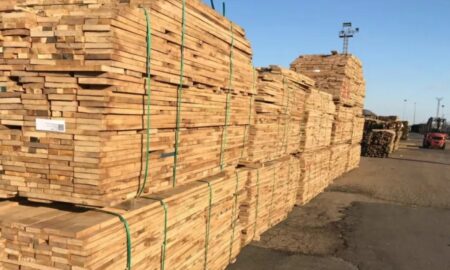 Экспорт древесины в Китай.