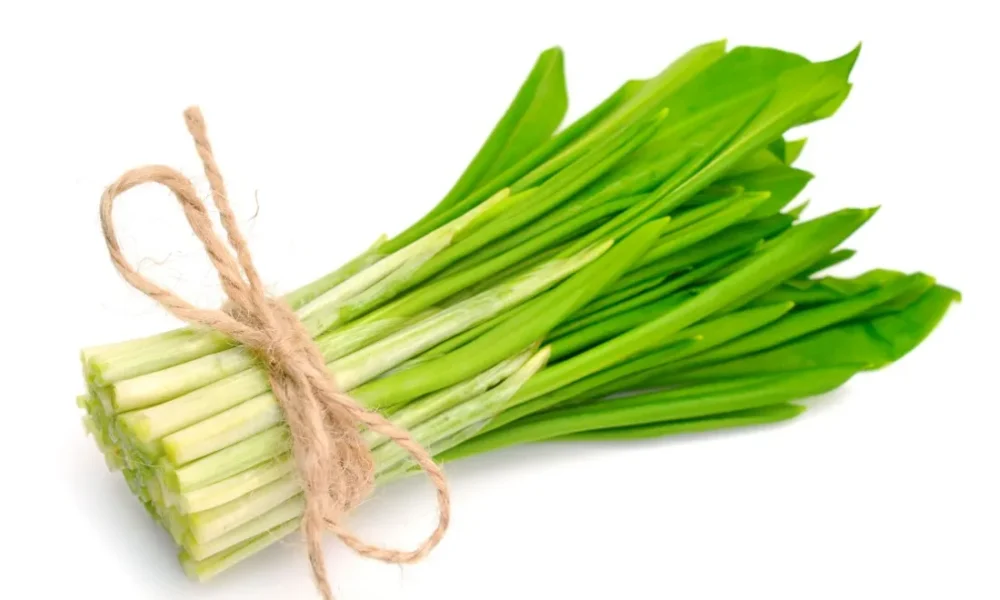 Перевязанная черемша