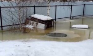 Затопление участка в Боровичах