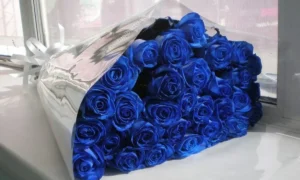 синие розы