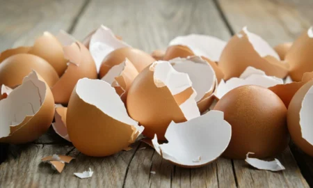 яичная скорлупа