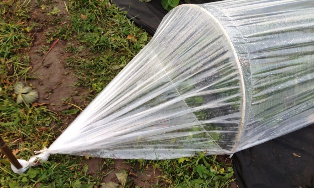 Теплица из дуг