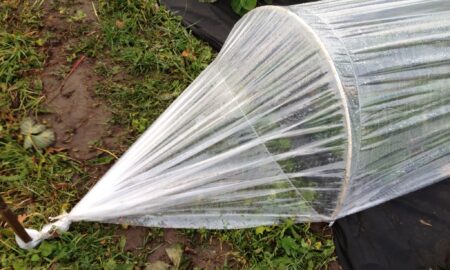 Теплица из дуг