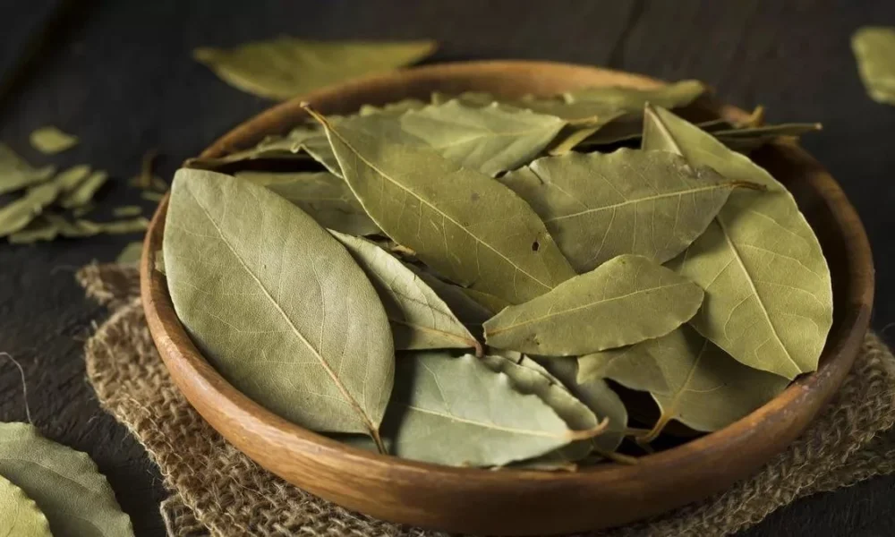 лавровый лист