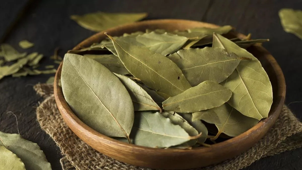 лавровый лист