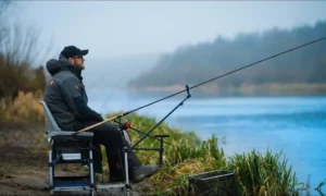 фидерная ловля