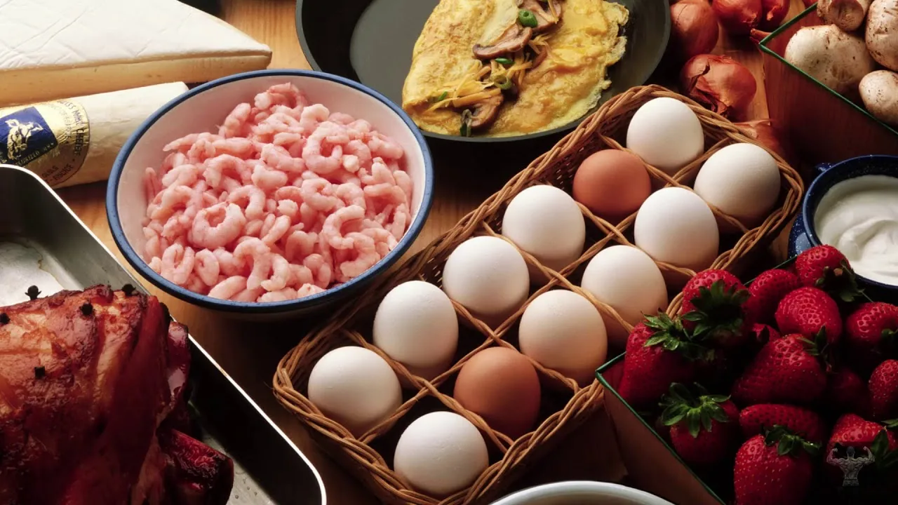 белковая еда