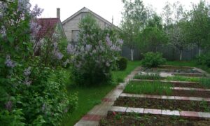 дачный участок