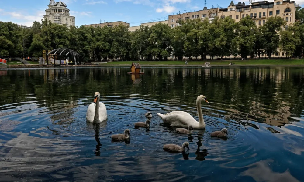 Патриаршие пруды