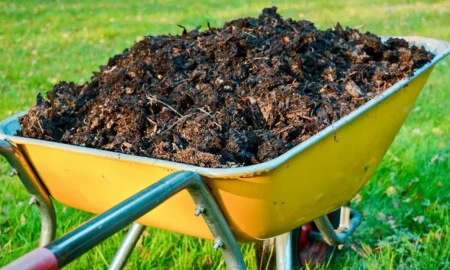 тачка навоза