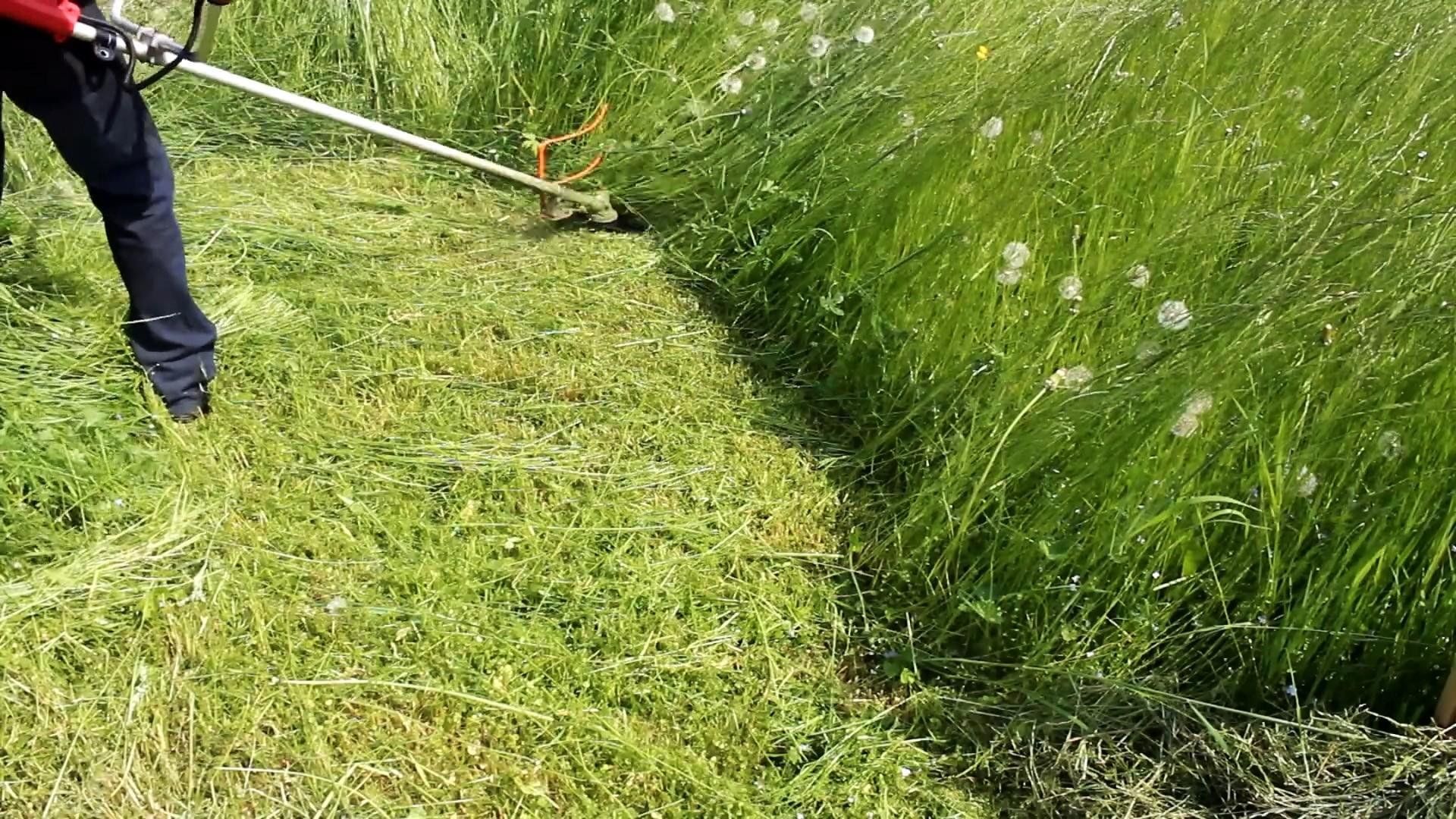 покос травы