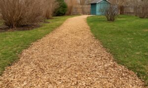 дорожка из древесных опилок