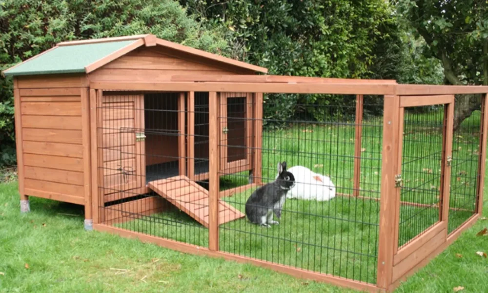 кролики в вольере