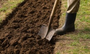 перекопка земли