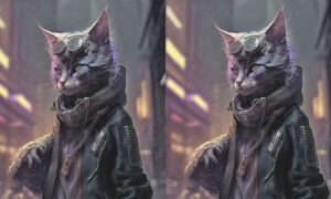 головоломка с котом