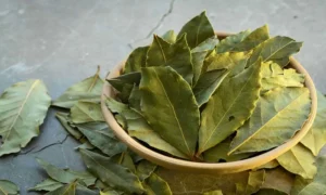 лавровый лист