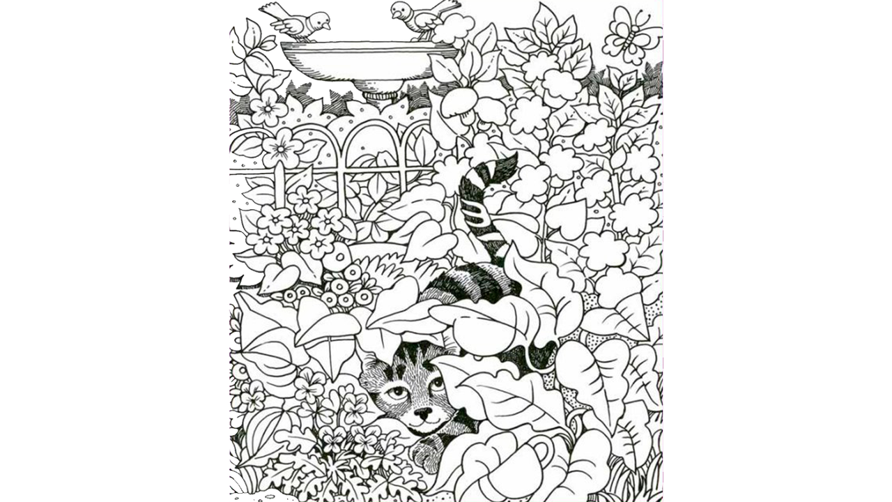 оптическая иллюзия