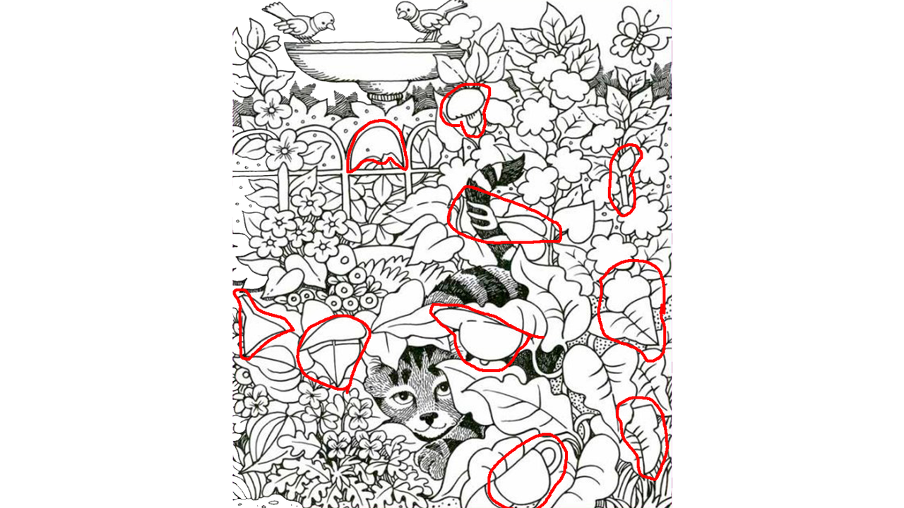 оптическая иллюзия