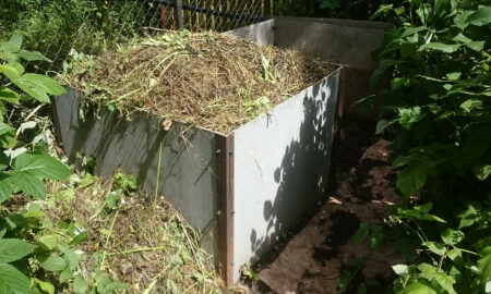 Компостная куча