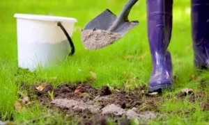 Древесная зола