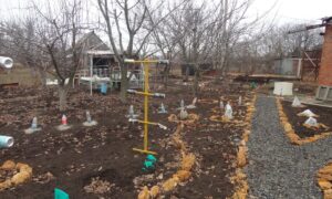 Огород весной