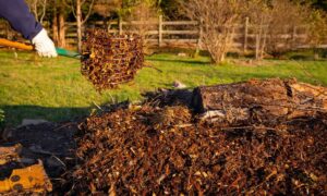 листовой перегной