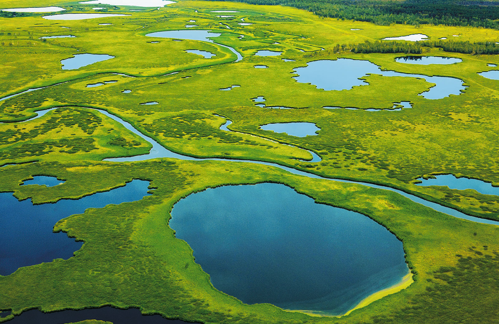 Васюганское болото