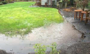 лужи на участке