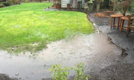 лужи на участке