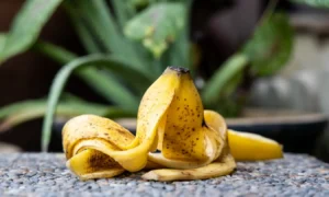 банановая кожура