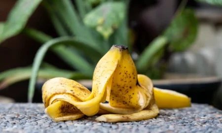 банановая кожура