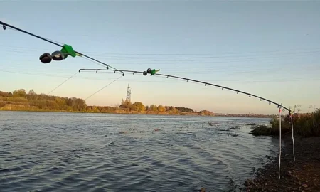 рыбалка на реке