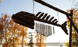 остров в Челябинской области