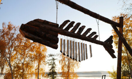 остров в Челябинской области