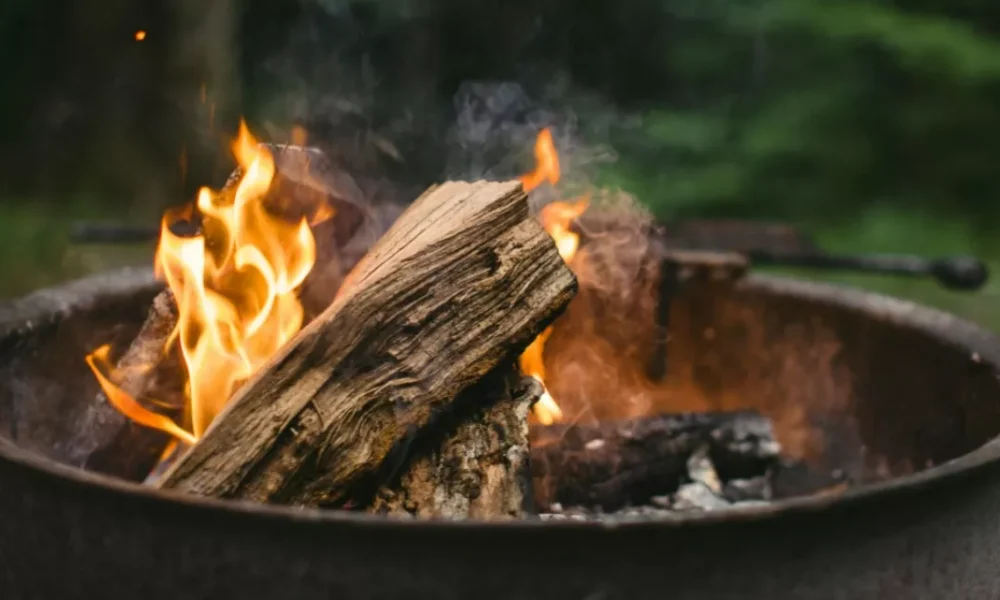 Дрова в костре