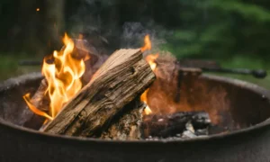 Дрова в костре