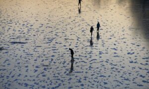 Отдых горожан на Канале имени Москвы.