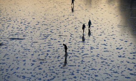 Отдых горожан на Канале имени Москвы.