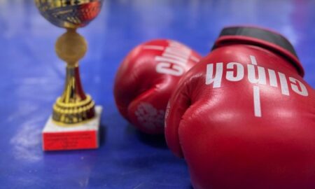 Боксёрская перчатка