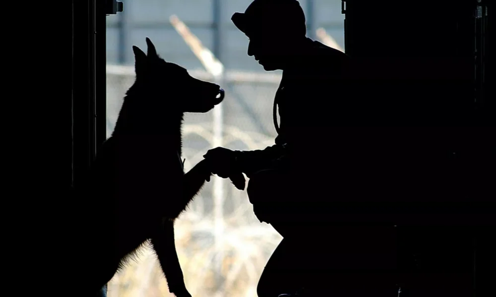 Мужчина с собакой