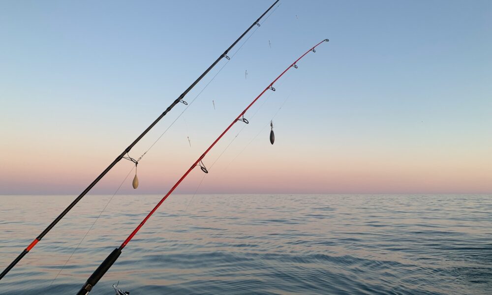 Удочки у моря
