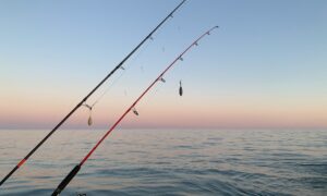 Удочки у моря