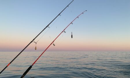 Удочки у моря