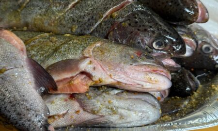 Свежая рыба