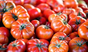 Помидоры огромные