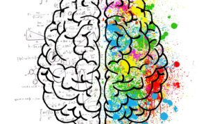 Рисунок мозга