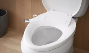 Унитаз в туалете